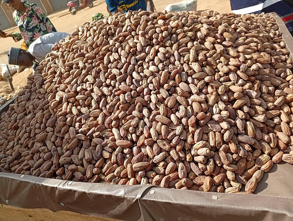 Dates - Khanezi